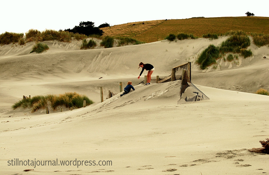 08 sand dunes Smaills Beach Dunedin